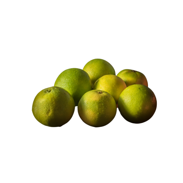 Mosambi